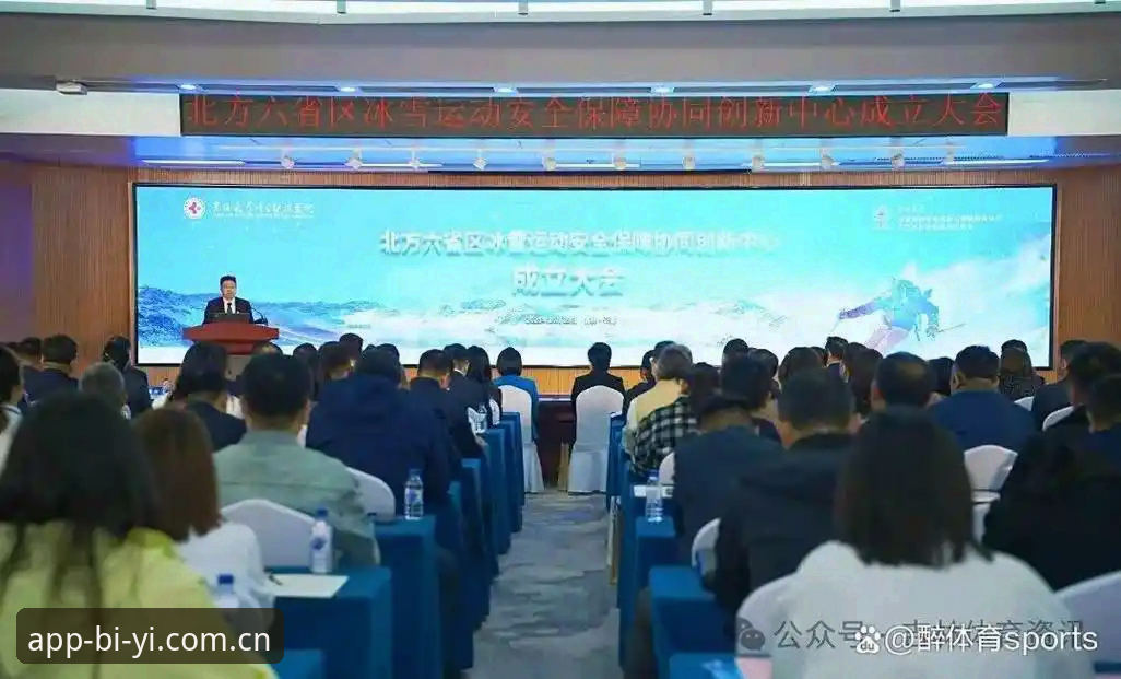揭秘必一体育老版本：那些被忽视的创新功能与安全保障真相
