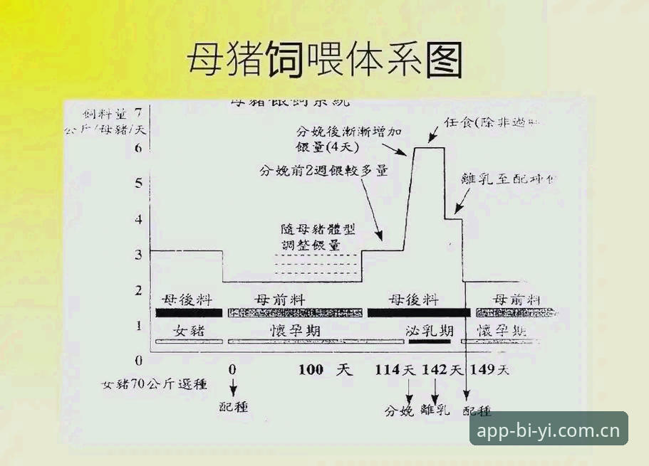 必一体育APP官网 必一体育平台高效使用教程:从官方下载到赛事追踪全流程指南